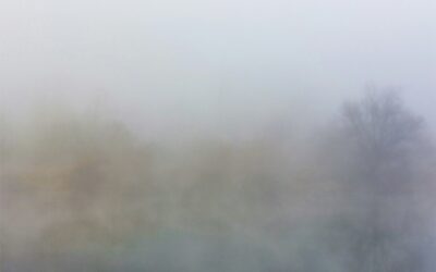 7 Tiny Shifts That Help Your Nervous System Heal Without Adding More to Your Plate